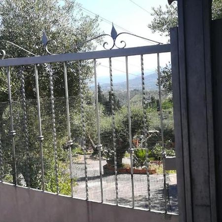 Willa La Casa Tra Gli Ulivi Di Fonte Nuova 1 Zewnętrze zdjęcie